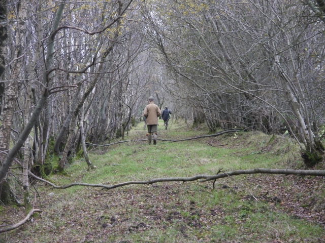  Tenemos hermosos paisajes para que los explores 